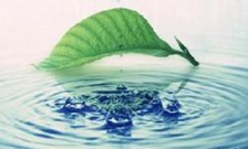  水質檢測一次多少錢