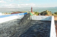  玉溪星云湖加快污染底泥疏挖，消除劣V類水質(zhì)