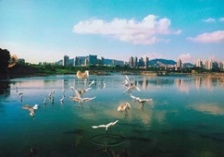  生態(tài)環(huán)境部通報水源地專項督查進展