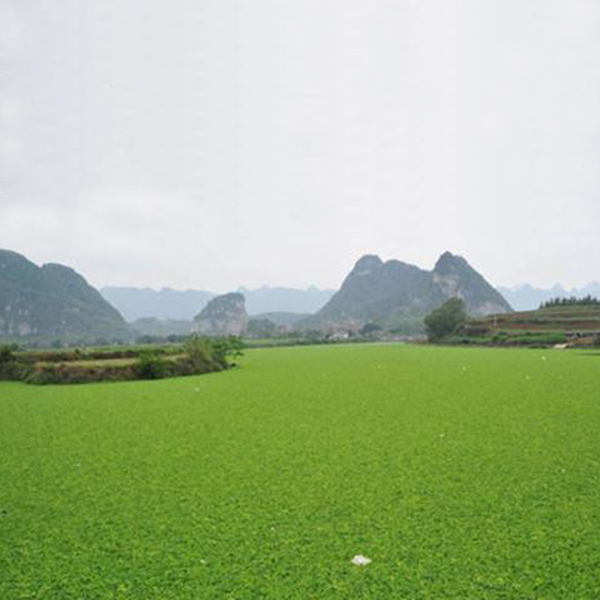  氣溫下降，我的氨氮超標怎么辦